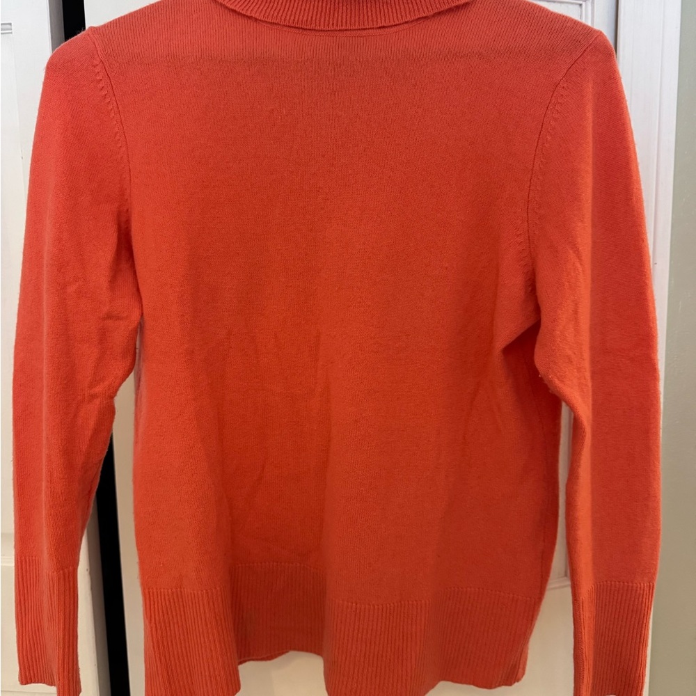 Victor Cashmere Turtle Neck Sweater with Long Sleeves